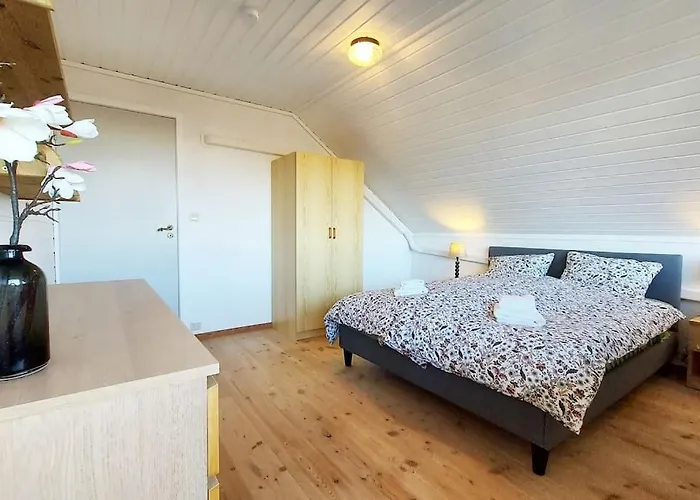 Large In Sola * Tananger